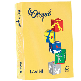 Carta lecirque a4 80gr 500fg giallo sole 202 favini